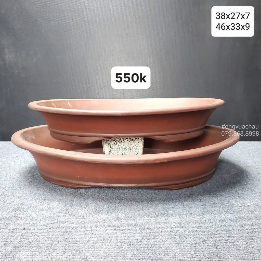 BỘ 2 CHẬU TÀU OVAL 38-46
