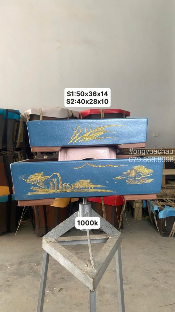 BỘ 2 CHẬU CHỮ NHẬT TÀU SIZE 40-50