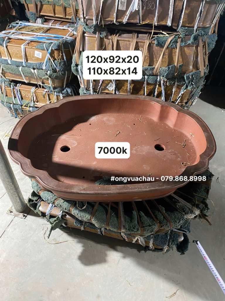 CHẬU TÀU OVAL MIỆNG MÂY BIGSIZE 120X92X20CM