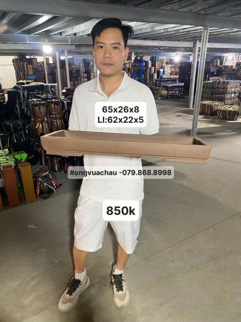 CHẬU TÀU CHỮ NHẬT SIZE 65X26X8