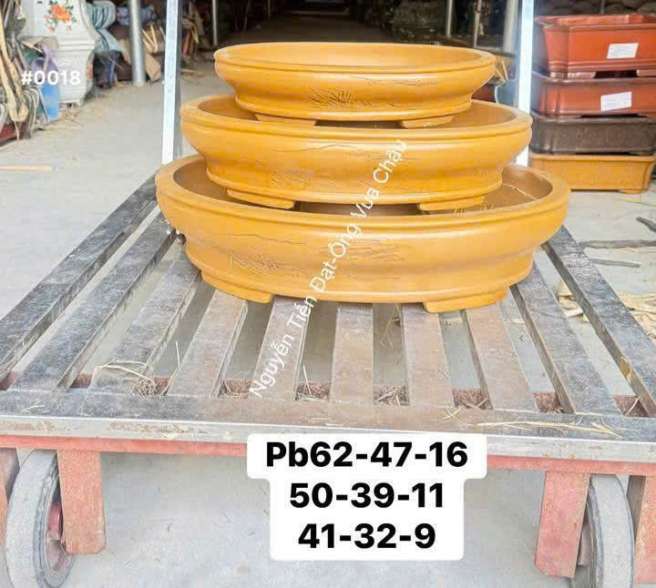 Bộ 3 oval tàu 62x47, 50x39, 41x32cm