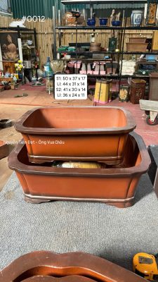CHẬU TÀU MÀU